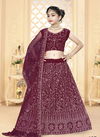 Maroon Colour Aaradhna Fancy Wedding Wear Net With Worked Kidswear Lehenga Choli Collection 127